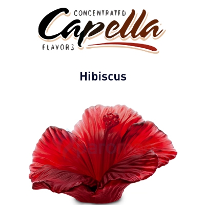 картинка Hibiscus от магазина Paromag 