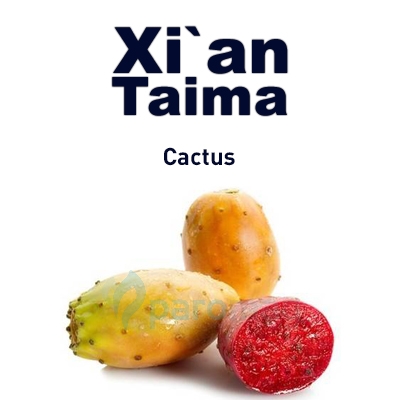картинка Cactus от магазина Paromag 