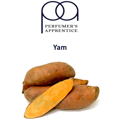 картинка Yam от магазина Paromag 