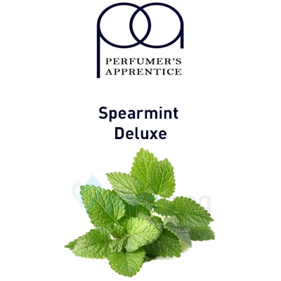 картинка Spearmint Deluxe от магазина Paromag 