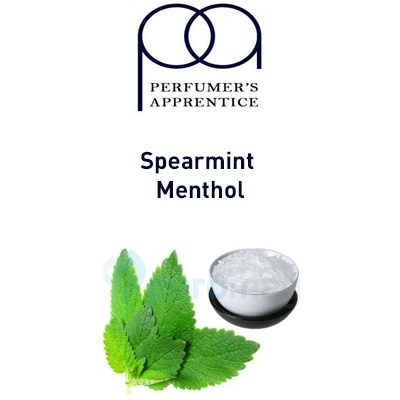 картинка Spearmint Menthol от магазина Paromag 