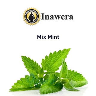 картинка Mix Mint от магазина Paromag 