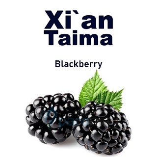 картинка Blackberry от магазина Paromag 